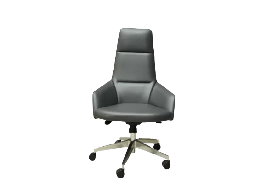 Ofis Kreslosu – Nora 05